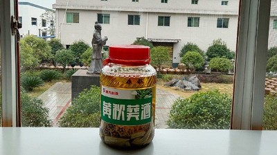 做酒設(shè)備釀造黃秋葵酒，3種不同工藝，哪種工藝釀的更好喝？