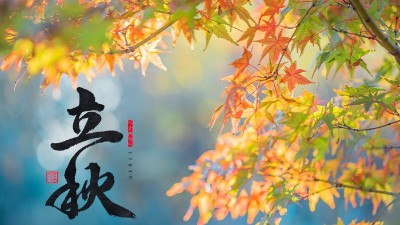 立秋 | 盛夏暑氣遠(yuǎn)，酒中秋色濃