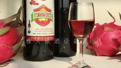 雅大釀酒設(shè)備廠家，果酒研發(fā)一年四季不打烊