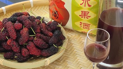 將桑葚釀成酒，雅大大型釀酒設(shè)備廠家助力湖北農(nóng)產(chǎn)品滯銷