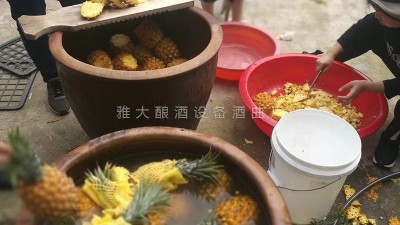 用果酒釀酒設(shè)備做菠蘿酒，簡單易學(xué)，只需簡單幾步。